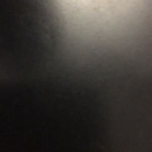 Meet your Posher, Maggie